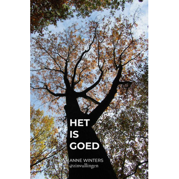 Het is goed (Paperback) bij Singel 344