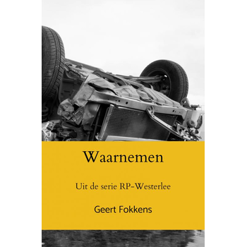 Waarnemen (Paperback) bij Singel 344