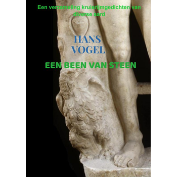 Een been van steen (Paperback) bij Singel 344
