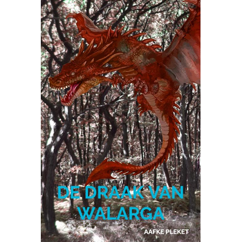 De draak van Walarga (Paperback) bij Singel 344