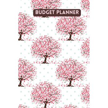 Budget planner - Kasboek - Huishoudboekje - Budgetplanner : Law of Attraction Editie (Paperback) bij Singel 344