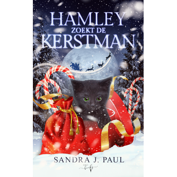Hamley zoekt de Kerstman (Hardback) bij Singel 344