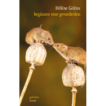 Beginnen voor gevorderden (Paperback) bij Singel 344