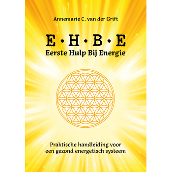 Eerste hulp bij Energie (Paperback) bij Singel 344