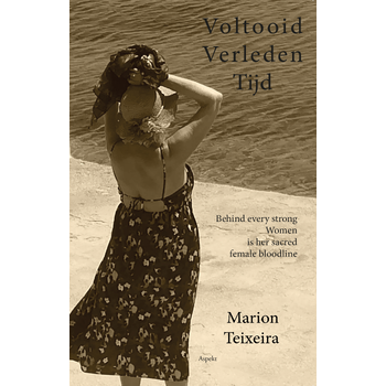 Voltooid verleden tijd (Paperback) bij Singel 344
