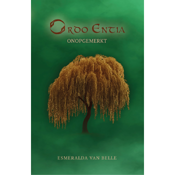 Onopgemerkt (Paperback) bij Singel 344