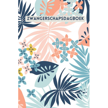 Zwangerschapsdagboek – Mijn 9 maanden dagboek (Paperback) bij Singel 344