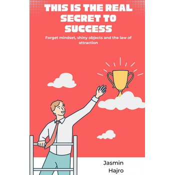 This is the real secret to success (Paperback) bij Singel 344