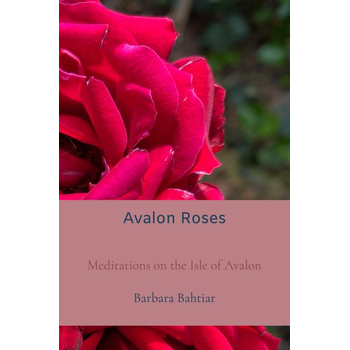 Avalon Roses (Paperback) bij Singel 344