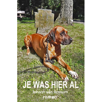 Je was hier al (Paperback) bij Singel 344