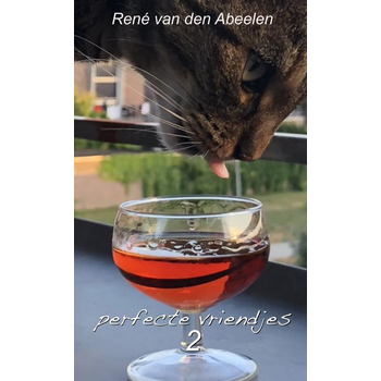 Perfecte vriendjes 2 (Paperback) bij Singel 344