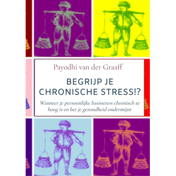 Begrijp Je Chronische Stress!? (Paperback) bij Singel 344