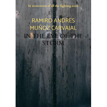 In the eye of the storm (Paperback) bij Singel 344
