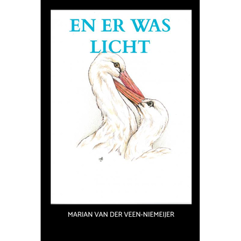 En er was licht (Paperback) van Marian van der Veen-Niemeijer