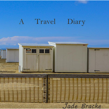 A Travel Diary (Hardback) bij Singel 344