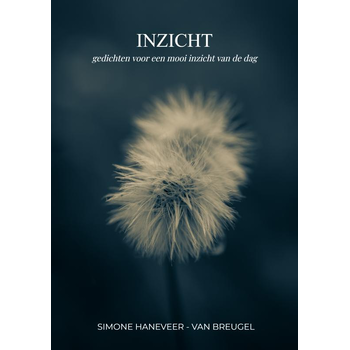 Inzicht (Paperback) bij Singel 344