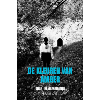 De kleuren van Amber (Paperback) bij Singel 344