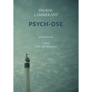 Psych-ose (Paperback) bij Singel 344