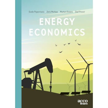 Energy Economics (Paperback) bij Singel 344