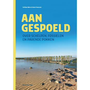 Aangespoeld (Paperback) bij Singel 344