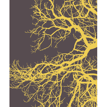 Bosk (Paperback) bij Singel 344