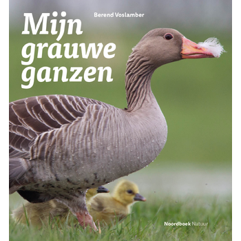 Mijn grauwe ganzen (Paperback) bij Singel 344