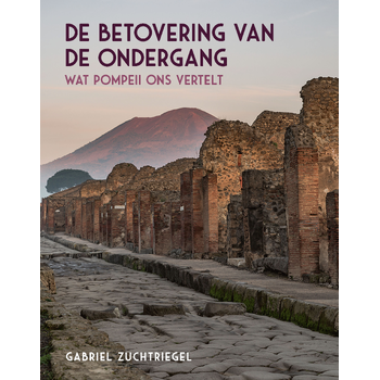 De betovering van de ondergang (Paperback) bij Singel 344