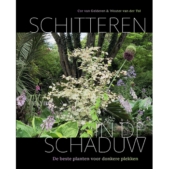 Schitteren in de schaduw (Hardback) bij Singel 344