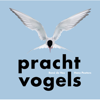 Prachtvogels (Hardback) bij Singel 344