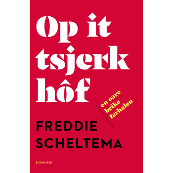 Op it tsjerkhôf en oare brike ferhalen (Paperback) bij Singel 344