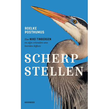 Scherpstellen (Paperback) bij Singel 344