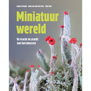 Miniatuurwereld (Hardback) bij Singel 344