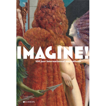 Imagine! (Hardback) bij Singel 344