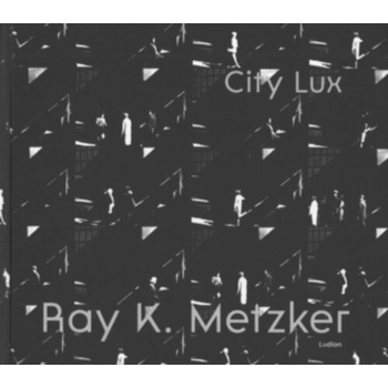 Ray K. Metzker (Hardback) bij Singel 344