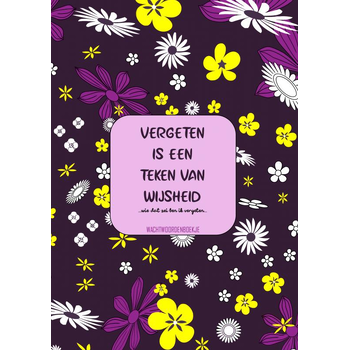 Vergeten Is een Teken van Wijsheid - Wachtwoordenboekje (Paperback) bij Singel 344