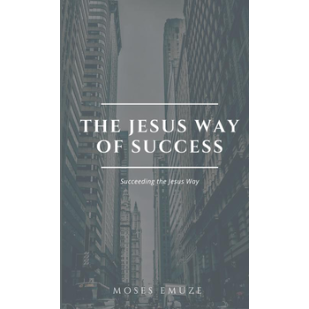 The Jesus way of Success (Paperback) bij Singel 344