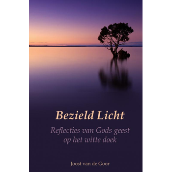 Bezield Licht (Hardback) bij Singel 344
