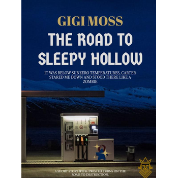 THE ROAD TO SLEEPY HOLLOW (Hardback) bij Singel 344