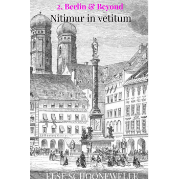 Nitimur in vetitum (Hardback) bij Singel 344