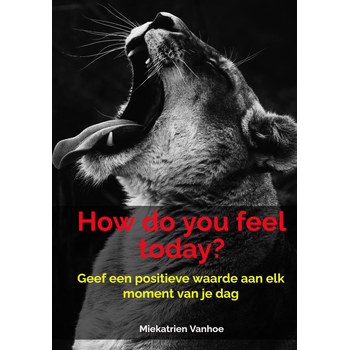 How do you feel today? (Hardback) bij Singel 344