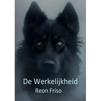 De Werkelijkheid (Paperback) bij Singel 344