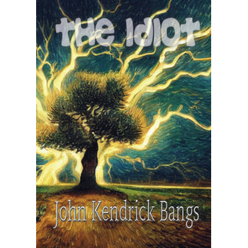 The Idiot (Paperback) bij Singel 344
