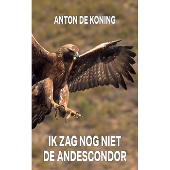 Ik zag nog niet de Andescondor (Paperback) bij Singel 344