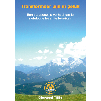 Transformeer pijn in geluk (Paperback) bij Singel 344