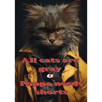 All cats are gray & Poppa needs shorts (Paperback) bij Singel 344