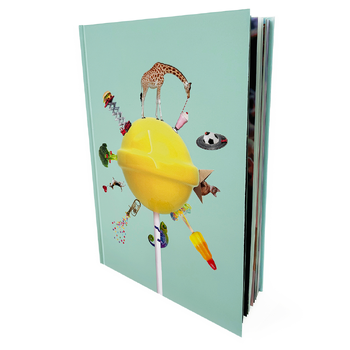 Het grote kijkboek (Hardback) van Kristel Klaveren