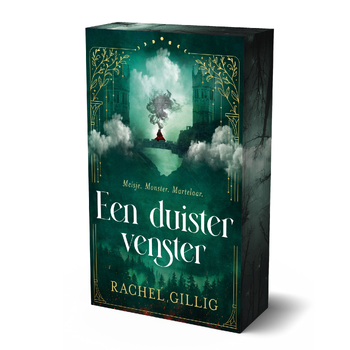 Een duister venster - limited edition (Paperback) bij Singel 344