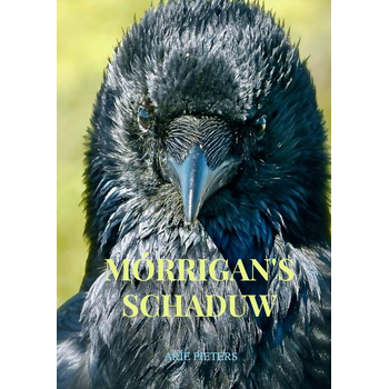 Mórrigan's schaduw (Paperback) bij Singel 344