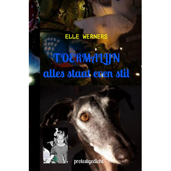 TOERMALIJN (Paperback) bij Singel 344