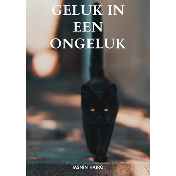 Geluk in een ongeluk (Paperback) bij Singel 344